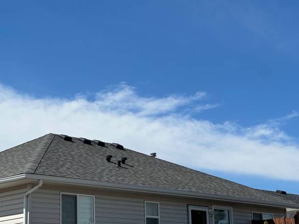 Best Chimney Flashing Repair  in Susquehanna Trails, PA